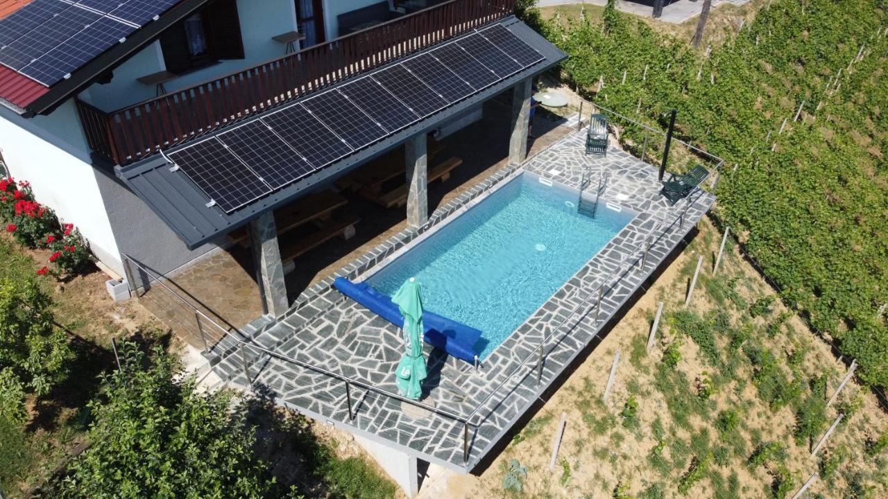Vineyard Paradise Senica Dramlje Экстерьер фото