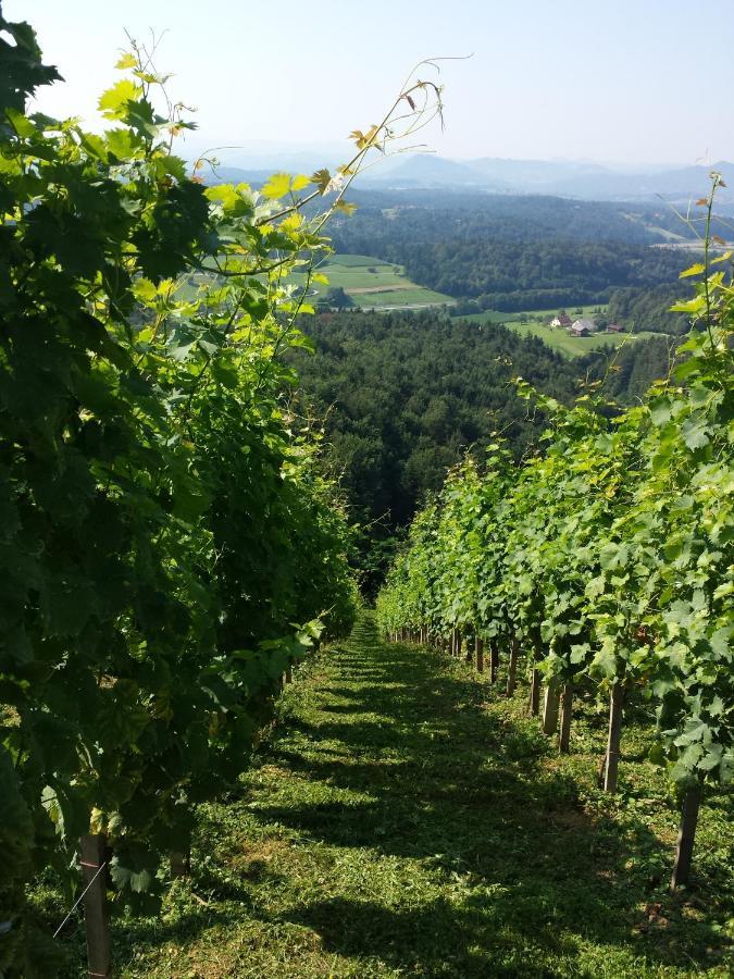 Vineyard Paradise Senica Dramlje Экстерьер фото